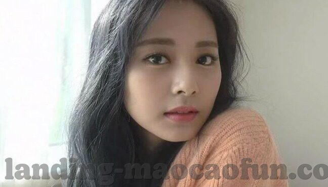 澳门威尼斯人筹码面值-澳门威尼斯人，筹码面值背后的娱乐与商业交织